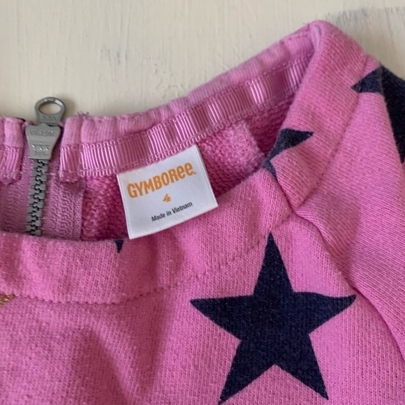 Gymboree Dress 4T - Picture 3 of 4